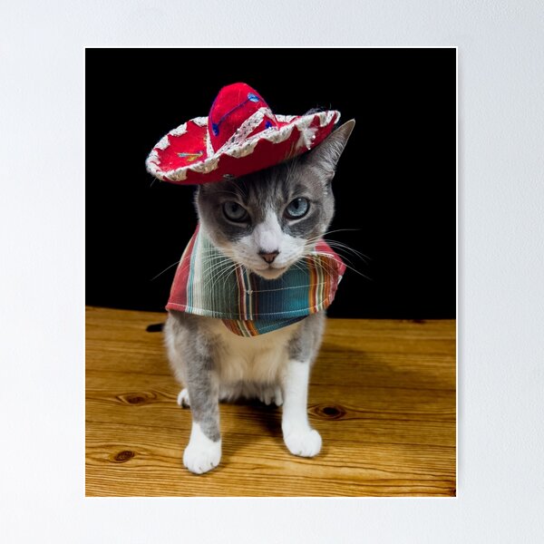 Cinco de Mayo Cat Poster