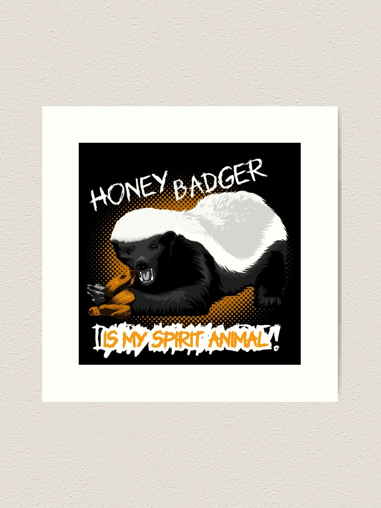 Honey Badger Meme: What is the Honey Badger Meme?