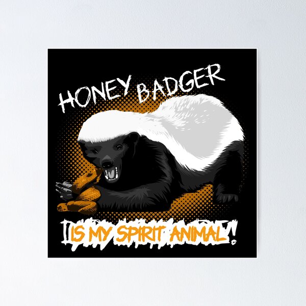 honey badger Meme, Meaning & History