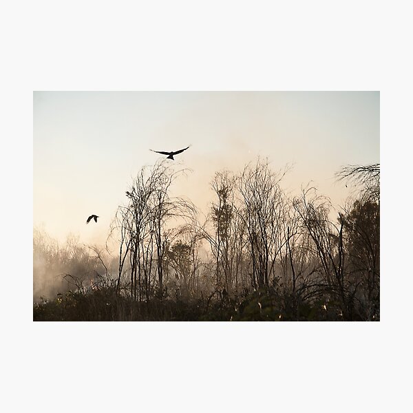 Bush Fire Photographic Print