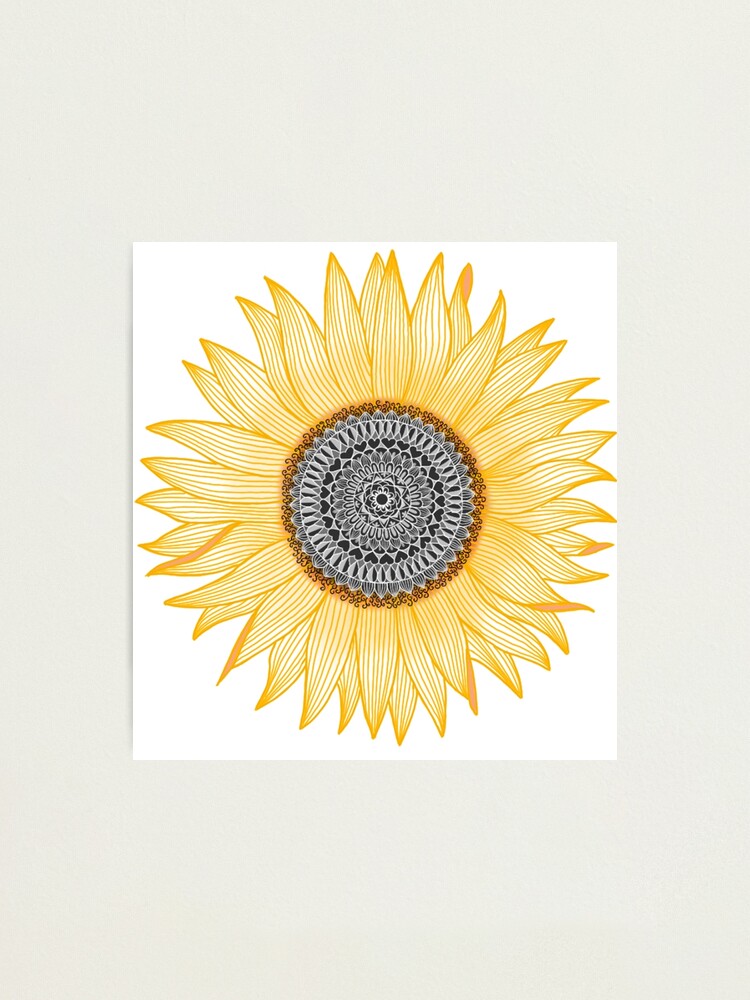 Alternate view of Golden Mandala Sunflower Photographic Print