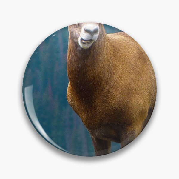 Item preview, Rocky Mountain Ram designed and sold by FrankEvansPix.