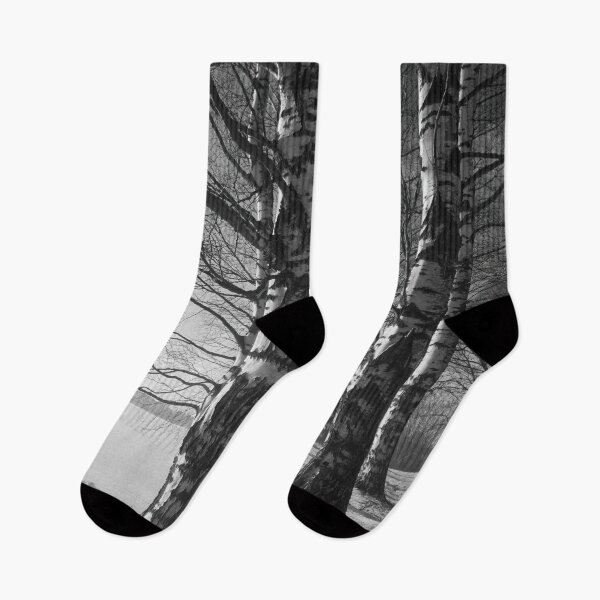Item preview, Standing strong. Tampere Arboretum bw designed and sold by Jouko Lehto Photography.