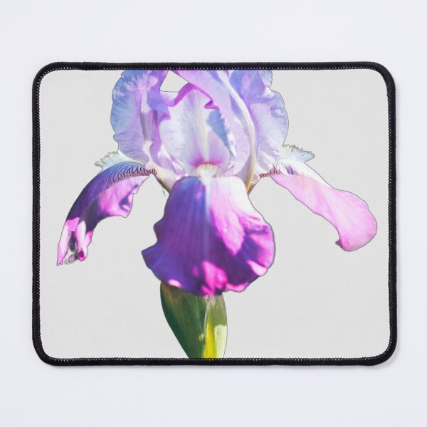 Item preview, Purple Iris Flower - Birth flower of February  designed and sold by EveryDayDabble.