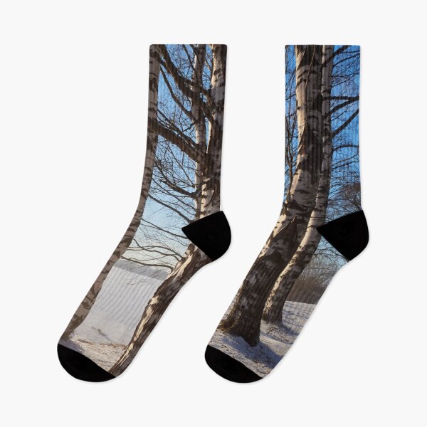 Item preview, Standing strong. Tampere Arboretum designed and sold by Jouko Lehto Photography.