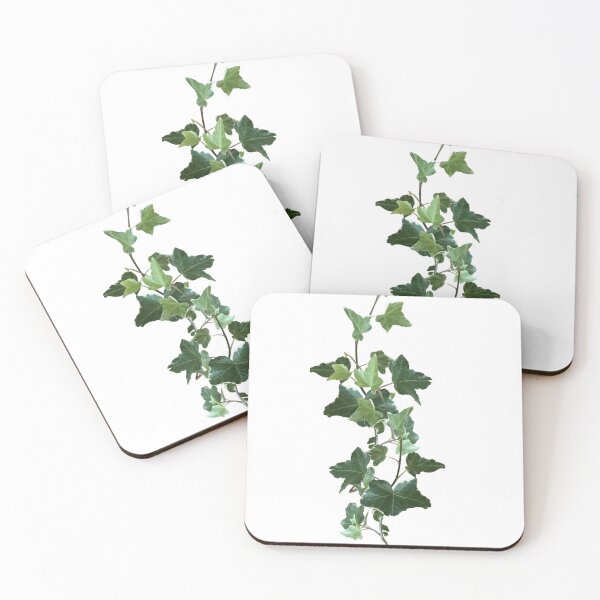 Item preview, Ivy Vine, green leaves, real variegated ivy creeping  designed and sold by EveryDayDabble.