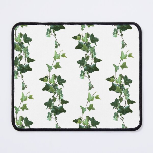Item preview, Ivy Vine, green leaves, real variegated ivy creeping designed and sold by EveryDayDabble.