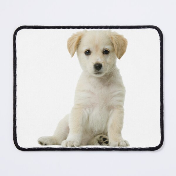 Item preview, sweet doggy white designed and sold by EmilyLoran.