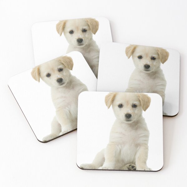 Item preview, sweet doggy white designed and sold by EmilyLoran.