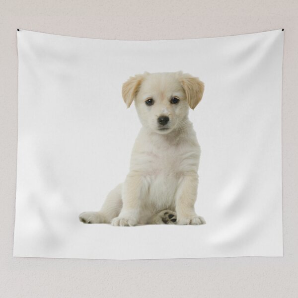 Item preview, sweet doggy white designed and sold by EmilyLoran.