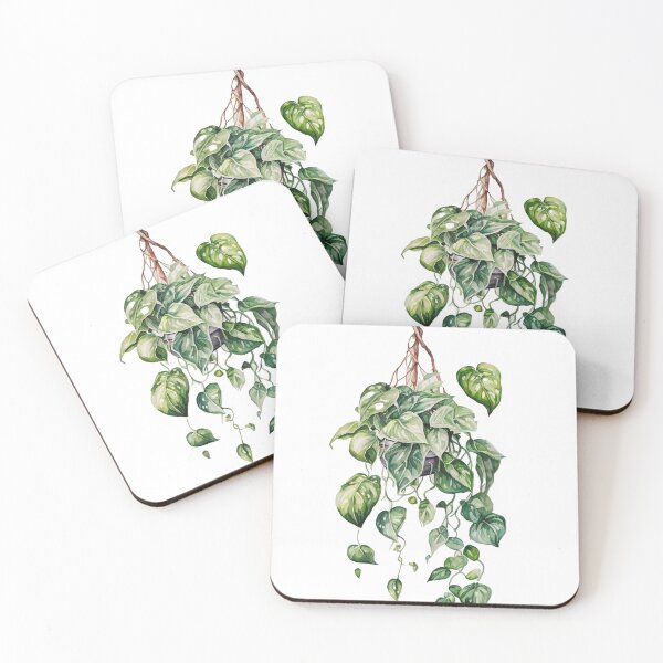 Item preview, Hanging pothos plant designed and sold by OODHA.