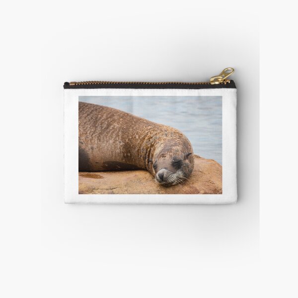 Item preview, Sleeping Sea Lion designed and sold by LFPPhotography.