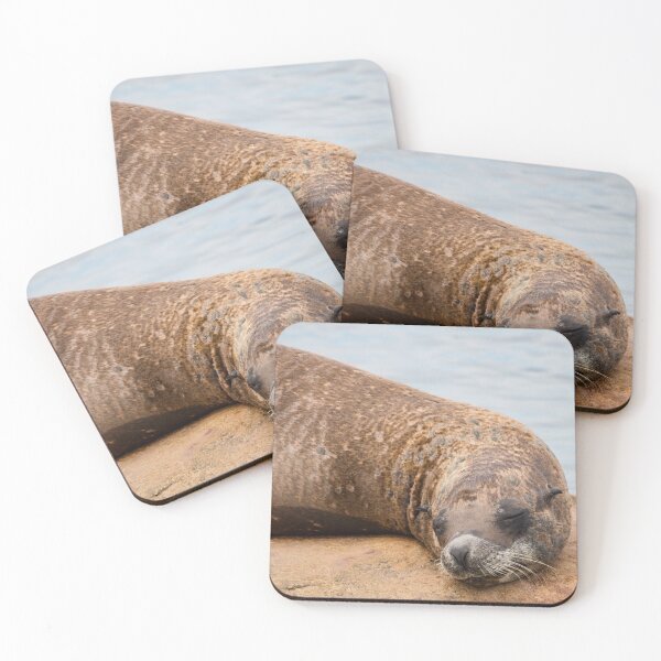 Item preview, Sleeping Sea Lion designed and sold by LFPPhotography.