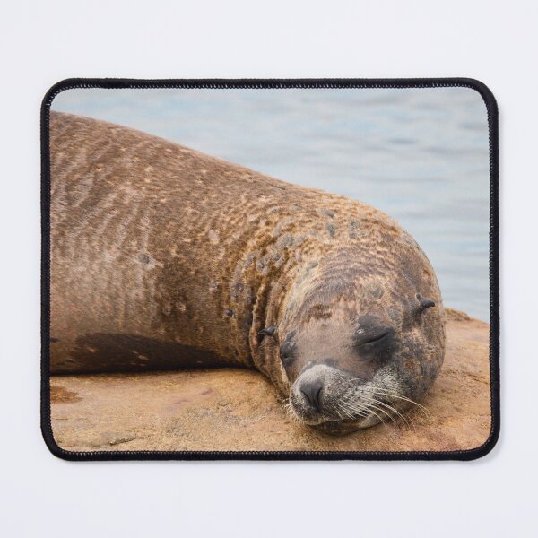 Item preview, Sleeping Sea Lion designed and sold by LFPPhotography.