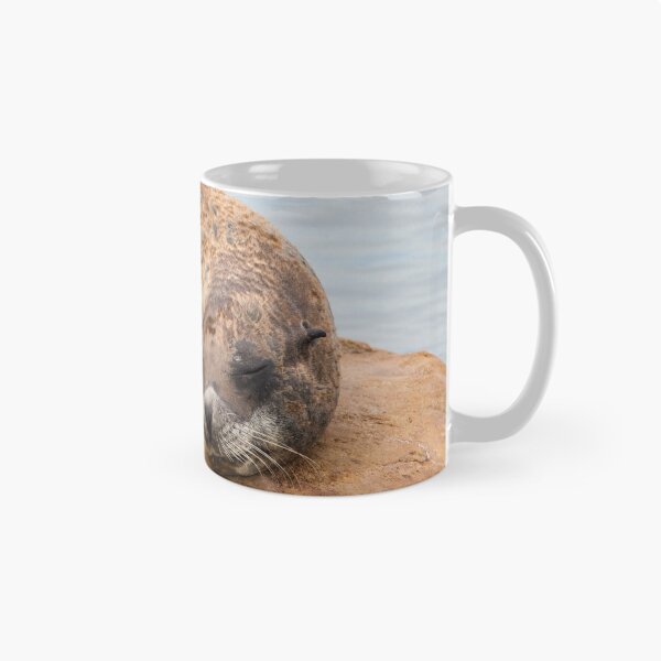 Item preview, Sleeping Sea Lion designed and sold by LFPPhotography.