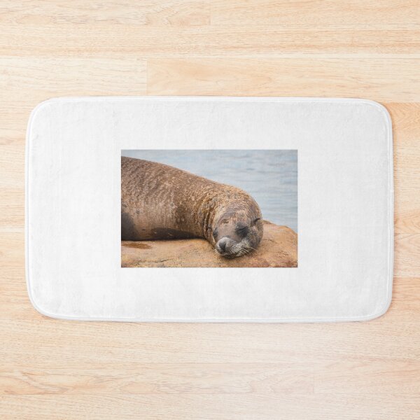 Item preview, Sleeping Sea Lion designed and sold by LFPPhotography.