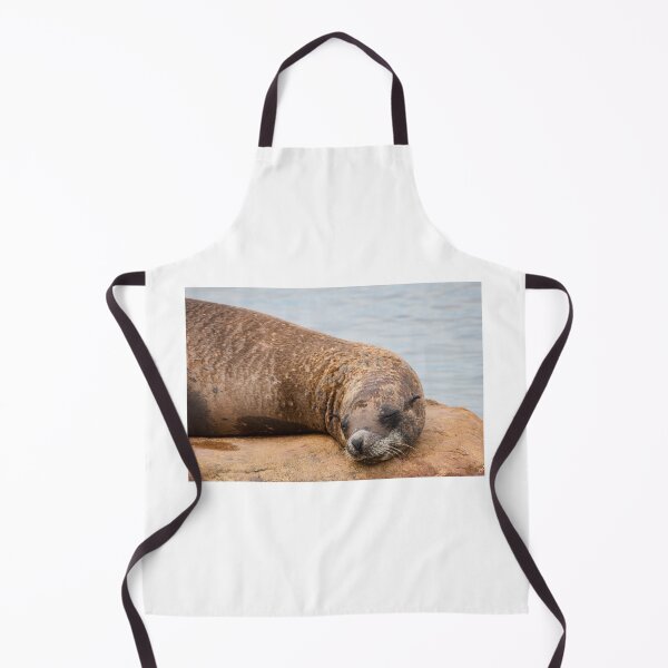 Item preview, Sleeping Sea Lion designed and sold by LFPPhotography.