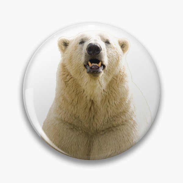 Item preview, Polar Bear Getting its Steps in designed and sold by LFPPhotography.