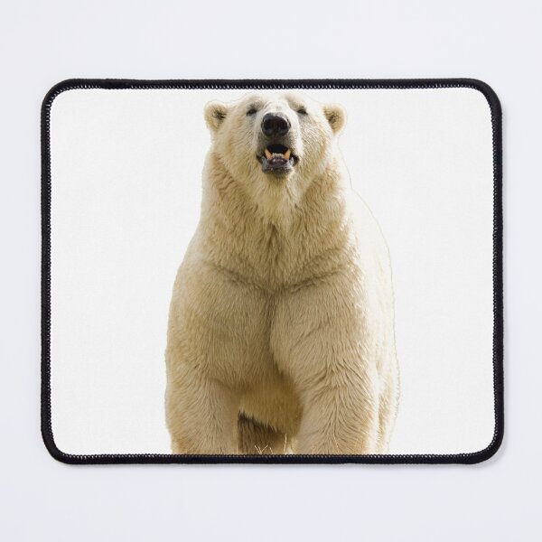 Item preview, Polar Bear Getting its Steps in designed and sold by LFPPhotography.