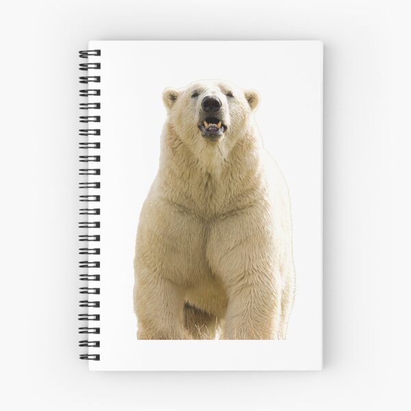 Item preview, Polar Bear Getting its Steps in designed and sold by LFPPhotography.