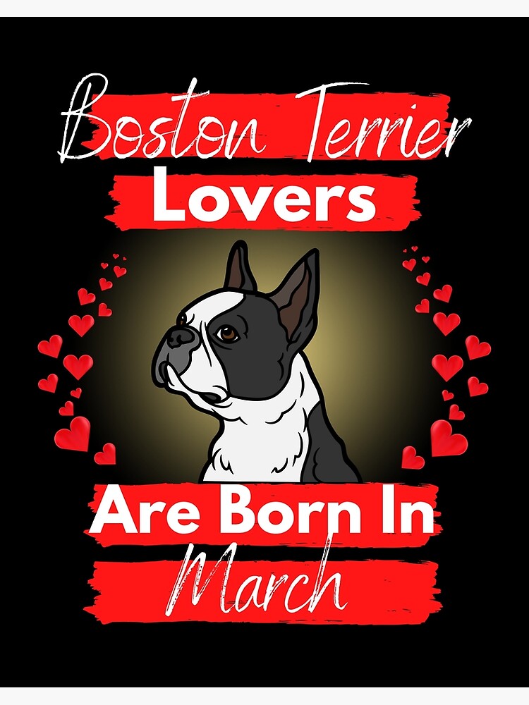 Gifts for clearance boston terrier lovers