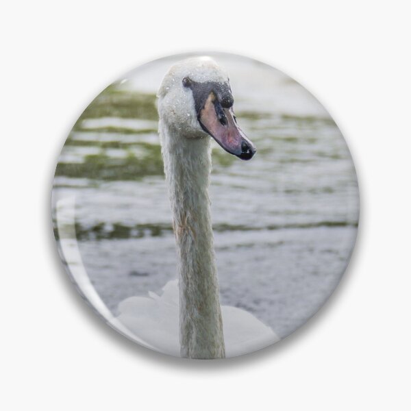 Item preview, Swan Enjoying its Surroundings  designed and sold by LFPPhotography.