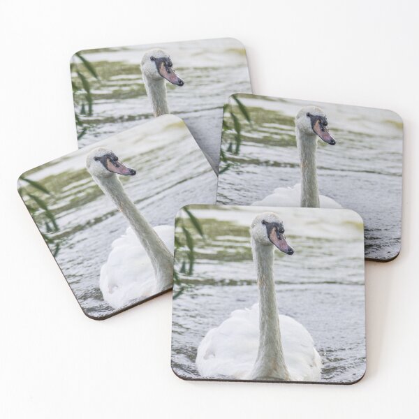 Item preview, Swan Enjoying its Surroundings  designed and sold by LFPPhotography.