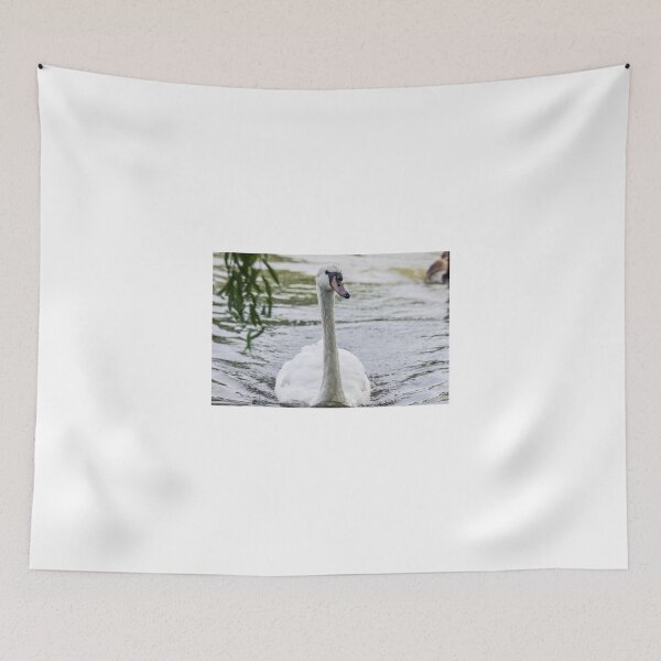 Item preview, Swan Enjoying its Surroundings  designed and sold by LFPPhotography.