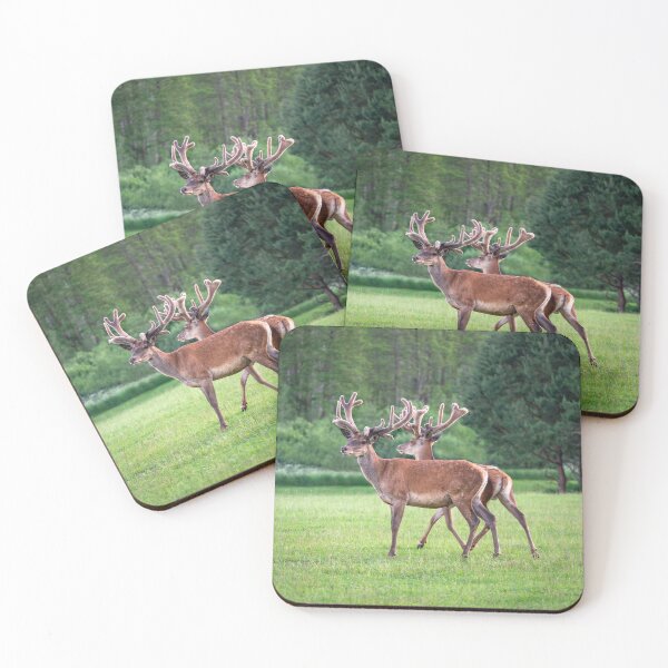 Item preview, A majestic red deer grazing in a meadow in summer designed and sold by AlbertMi.