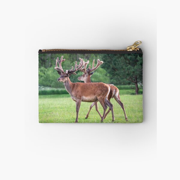 Item preview, A majestic red deer grazing in a meadow in summer designed and sold by AlbertMi.