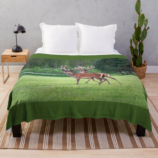 Item preview, A majestic red deer grazing in a meadow in summer designed and sold by AlbertMi.