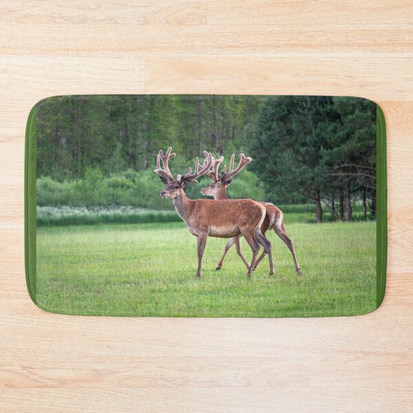 Item preview, A majestic red deer grazing in a meadow in summer designed and sold by AlbertMi.