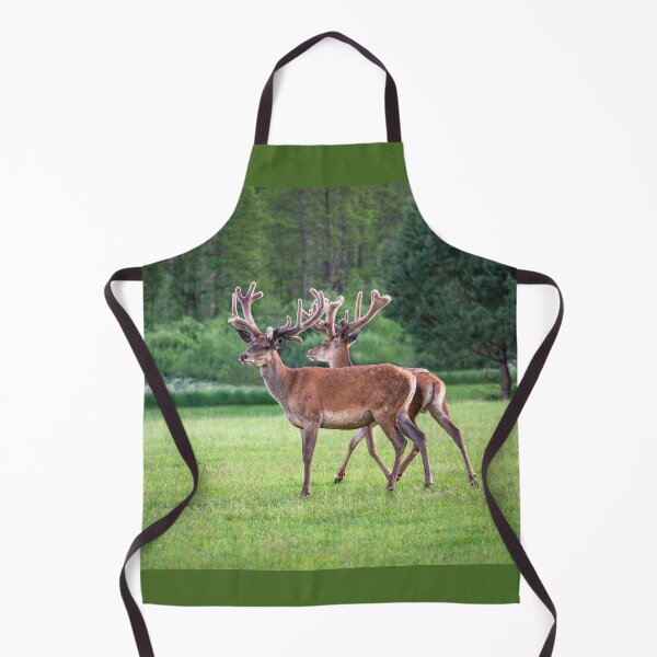 Item preview, A majestic red deer grazing in a meadow in summer designed and sold by AlbertMi.