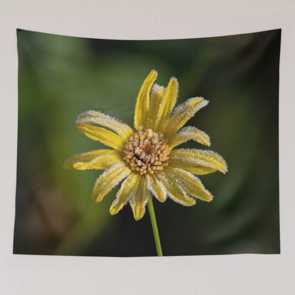 Item preview, Yellow Flower and Frost designed and sold by Sue Robinson.