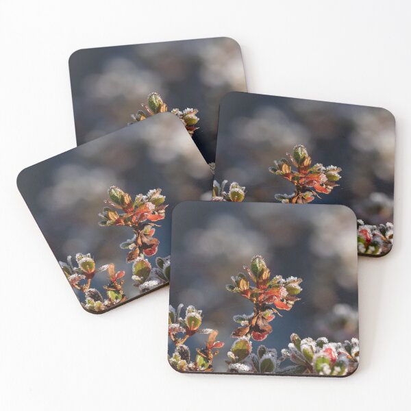 Item preview, Azalea Shrub with Frost designed and sold by Sue Robinson.