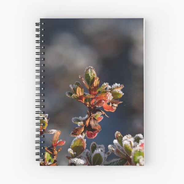 Item preview, Azalea Shrub with Frost designed and sold by Sue Robinson.