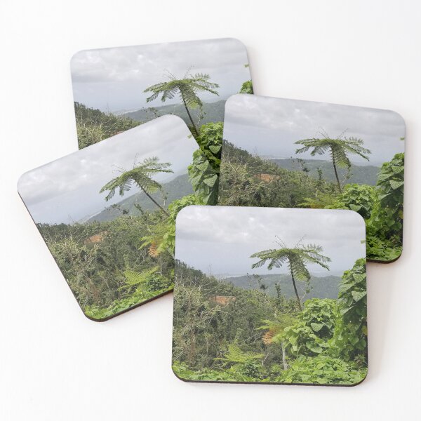 Item preview, El Yunque Rainforest, Puerto Rico designed and sold by galina-art.