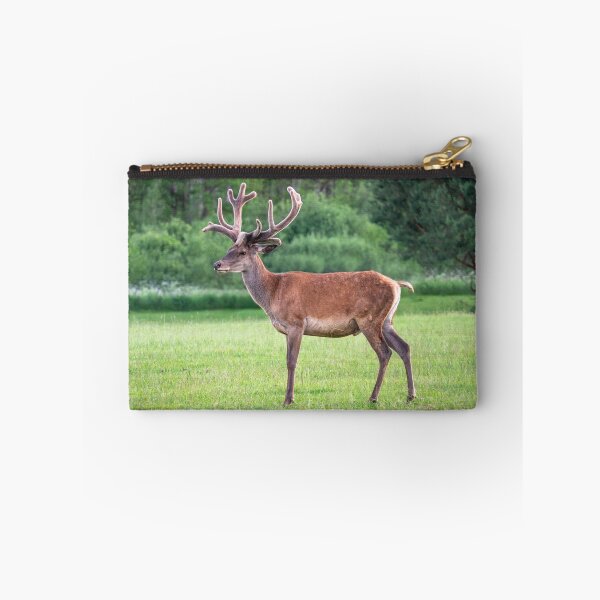 Item preview, A majestic red deer grazing in a meadow in summer designed and sold by AlbertMi.