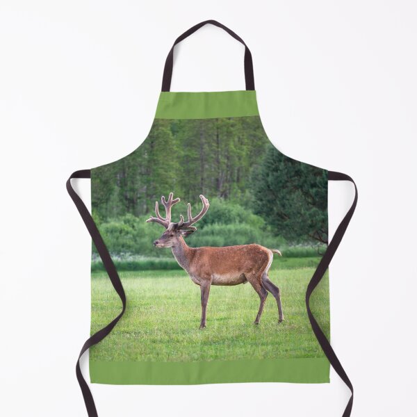Item preview, A majestic red deer grazing in a meadow in summer designed and sold by AlbertMi.