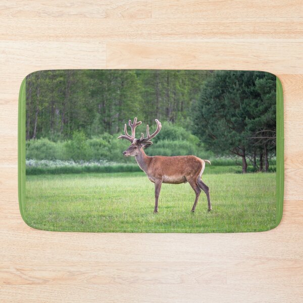 Item preview, A majestic red deer grazing in a meadow in summer designed and sold by AlbertMi.