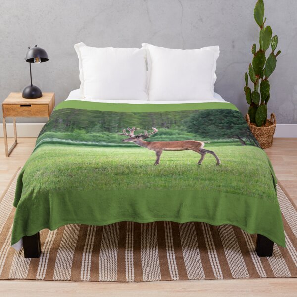 Item preview, A majestic red deer grazing in a meadow in summer designed and sold by AlbertMi.