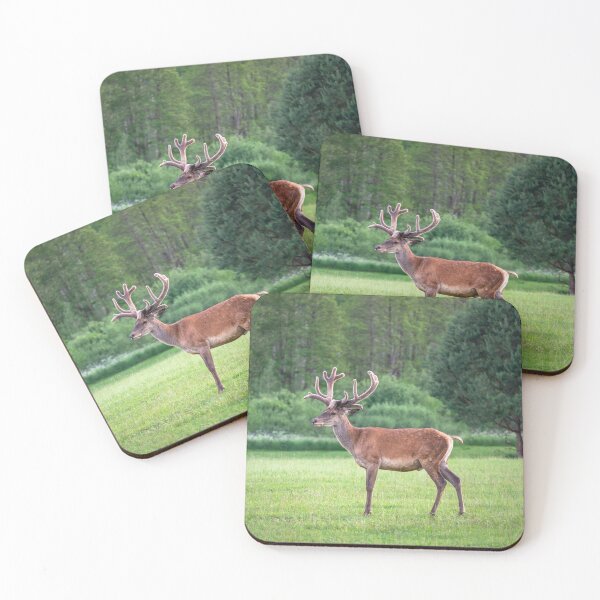 Item preview, A majestic red deer grazing in a meadow in summer designed and sold by AlbertMi.