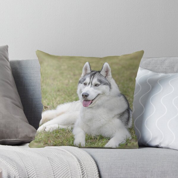 Item preview, Siberian Husky in the Grass designed and sold by May Finch.