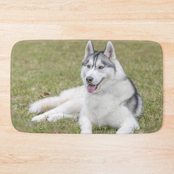 Item preview, Siberian Husky in the Grass designed and sold by May Finch.