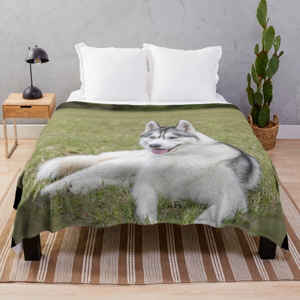 Item preview, Siberian Husky in the Grass designed and sold by May Finch.