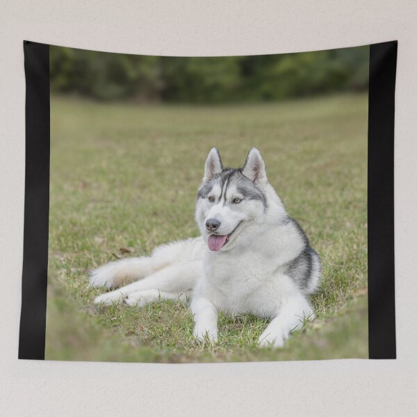 Item preview, Siberian Husky in the Grass designed and sold by May Finch.