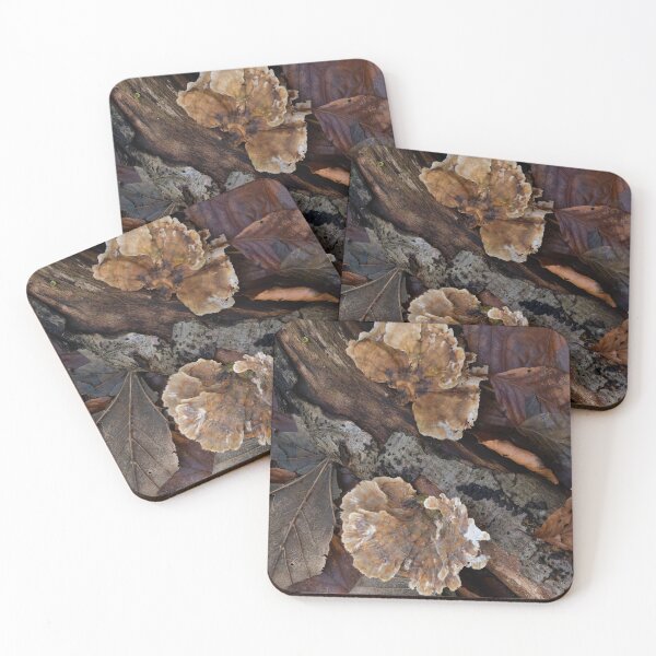 Item preview, Turkeytail Fungus on Fallen Log designed and sold by Sue Robinson.