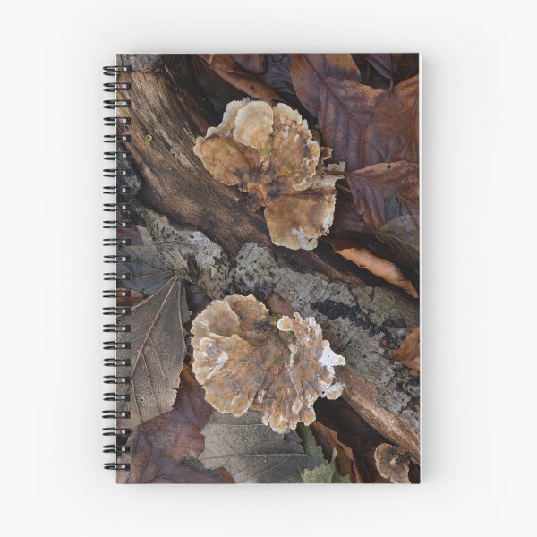 Item preview, Turkeytail Fungus on Fallen Log designed and sold by Sue Robinson.