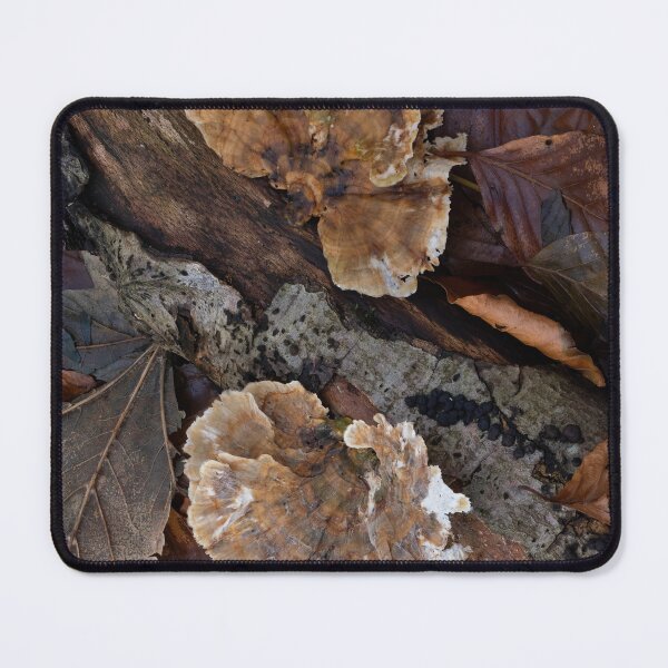 Item preview, Turkeytail Fungus on Fallen Log designed and sold by Sue Robinson.