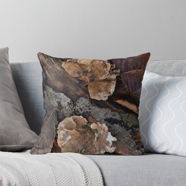 Item preview, Turkeytail Fungus on Fallen Log designed and sold by Sue Robinson.